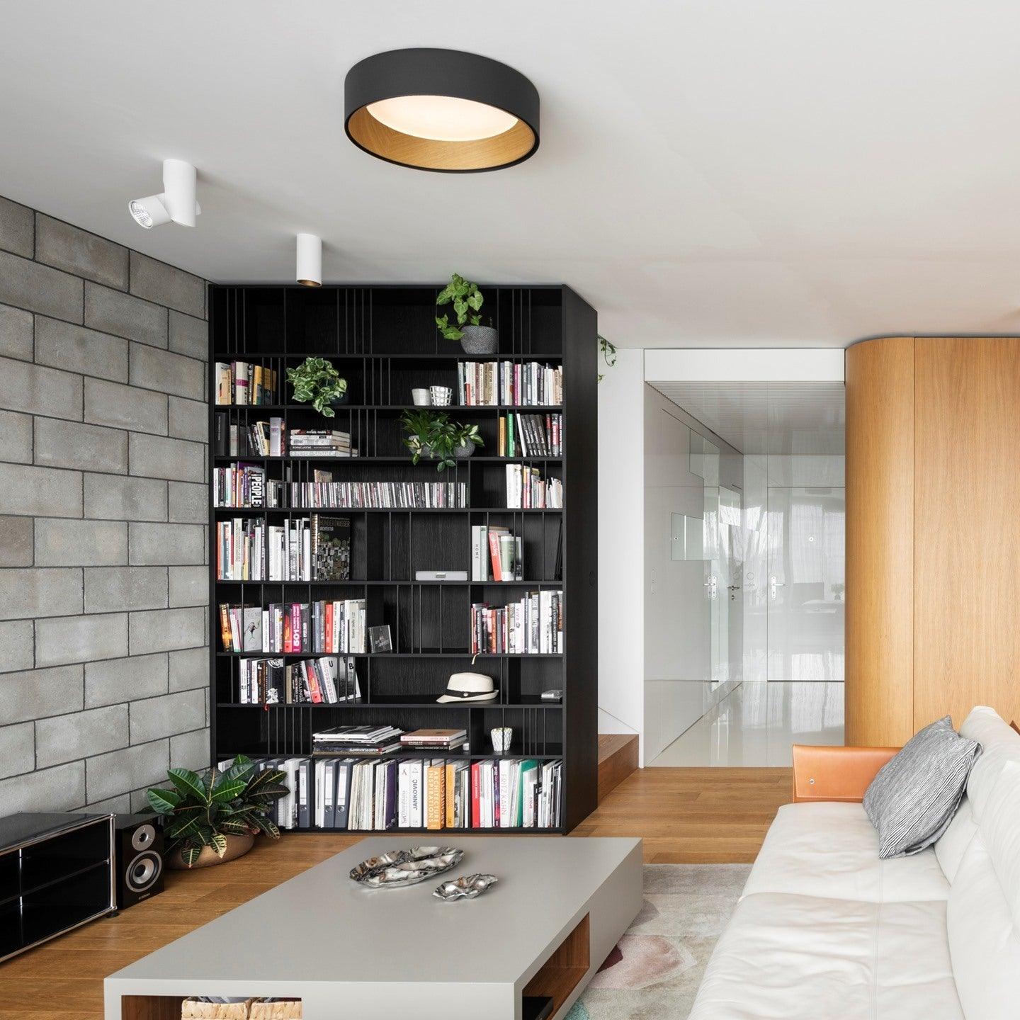 Round Ceiling Lamp - Blowlighting