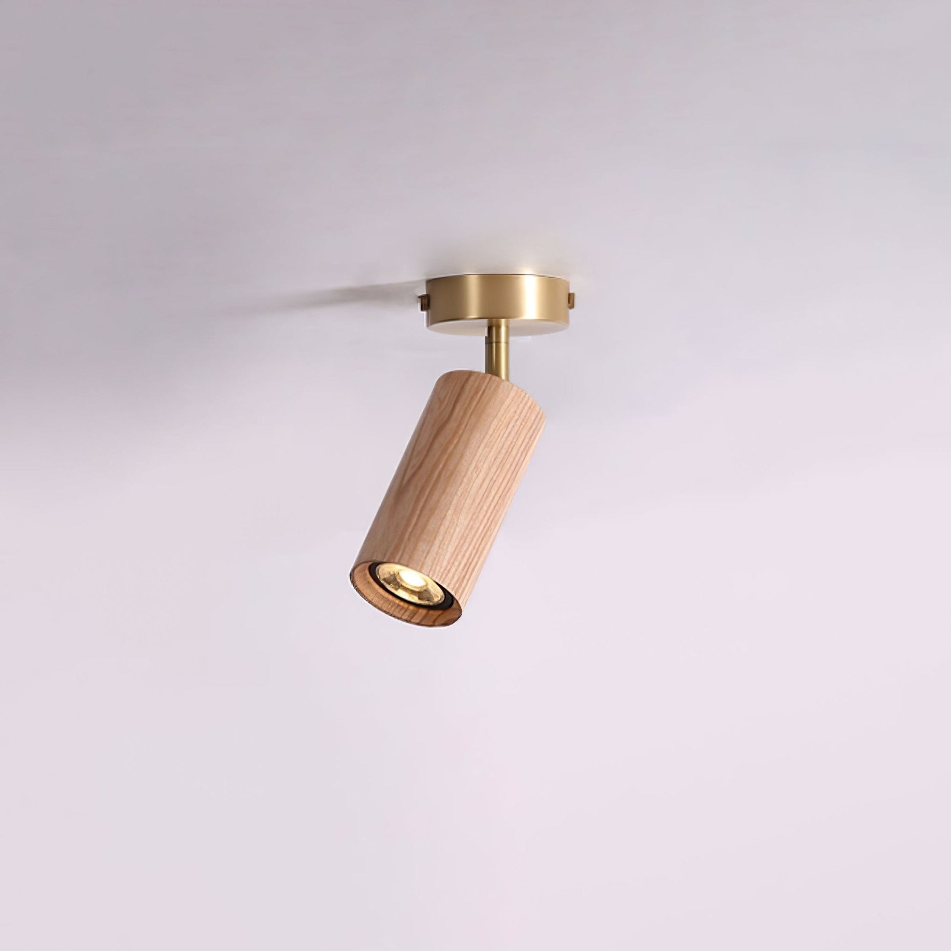 Rowan Ceiling Light - Blowlighting