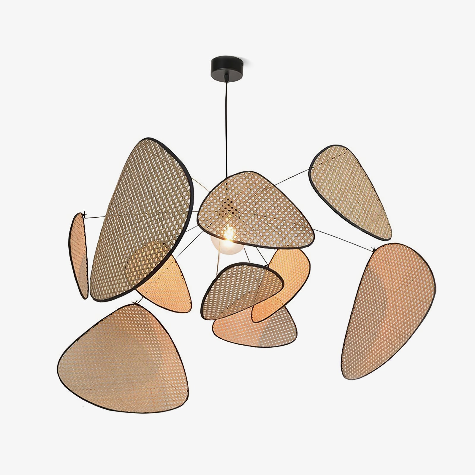 Screen Cannage Suspension - Blowlighting