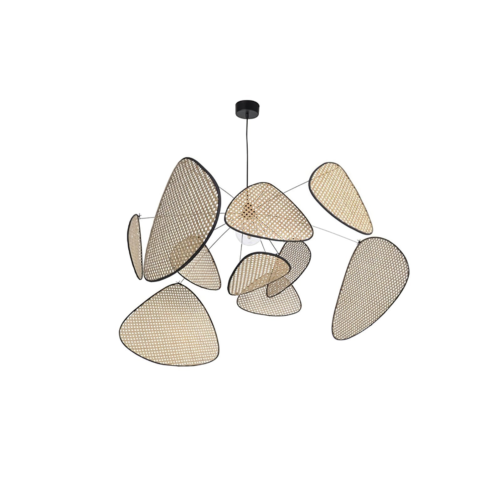 Screen Cannage Suspension - Blowlighting