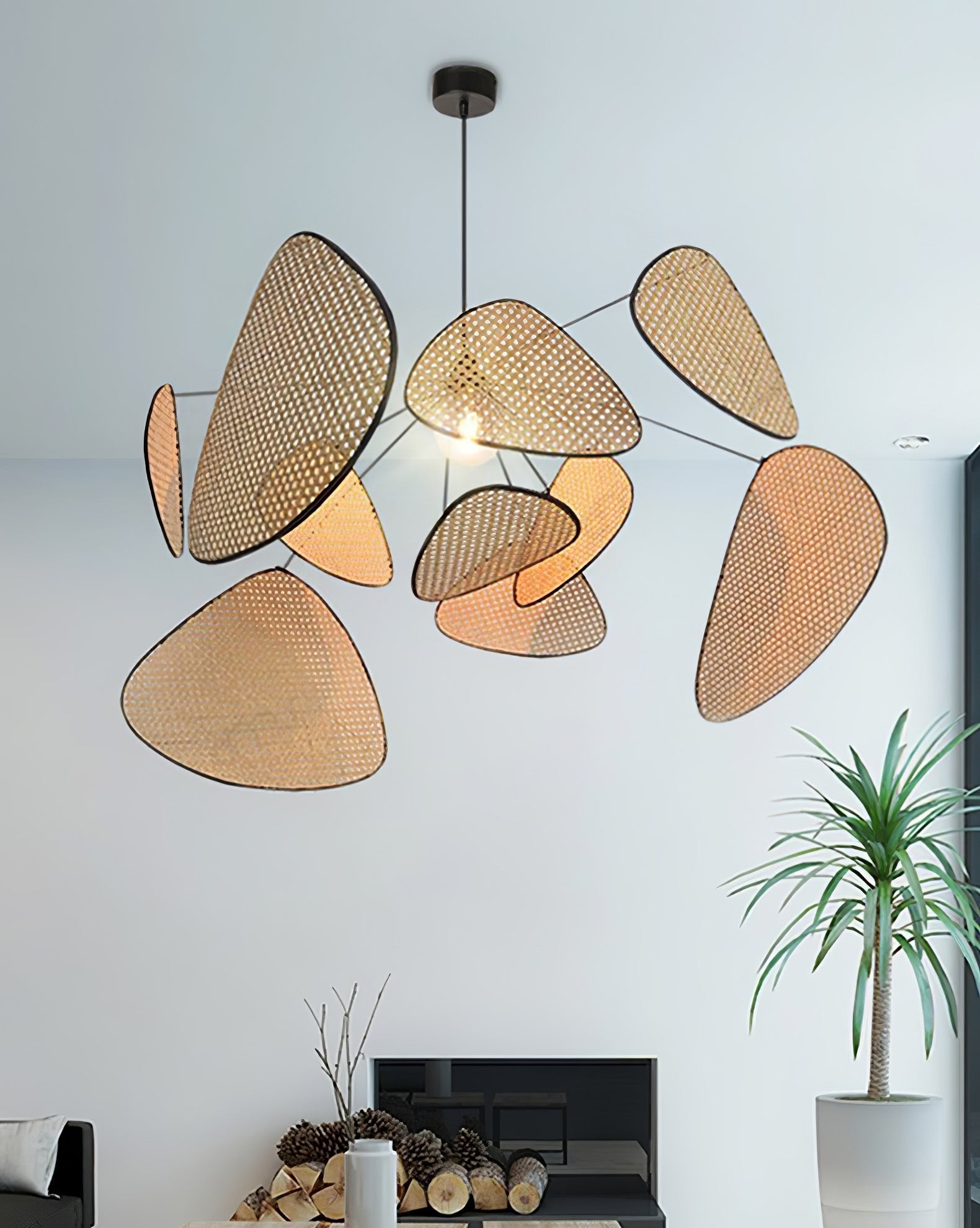Screen Cannage Suspension - Blowlighting
