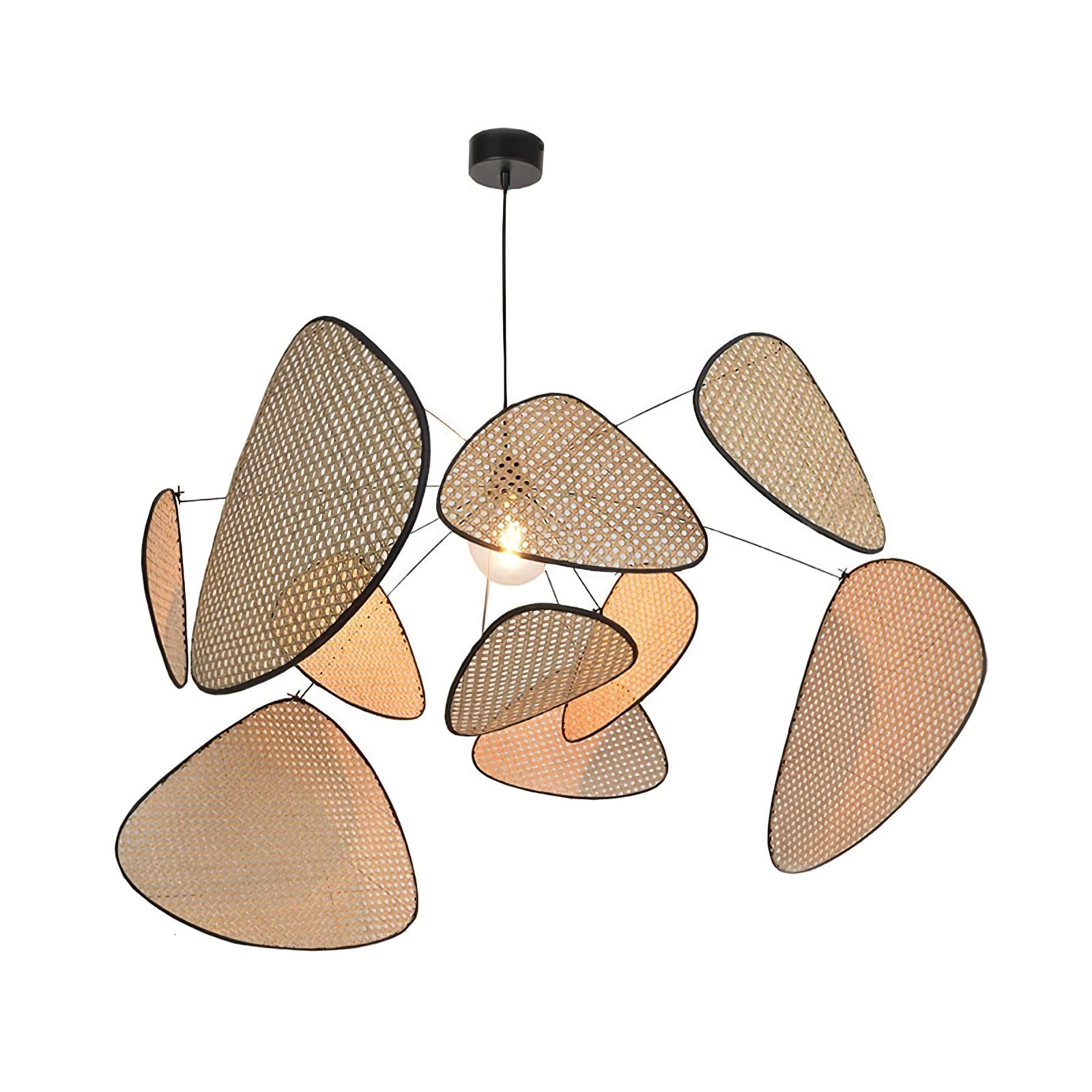 Screen Cannage Suspension - Blowlighting