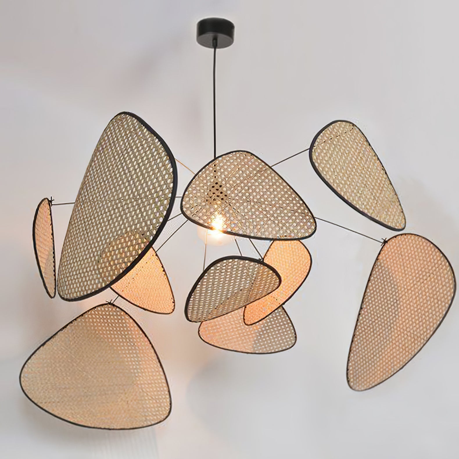Screen Cannage Suspension - Blowlighting