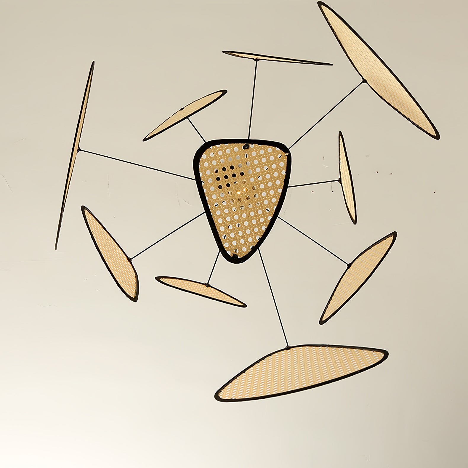 Screen Cannage Suspension - Blowlighting