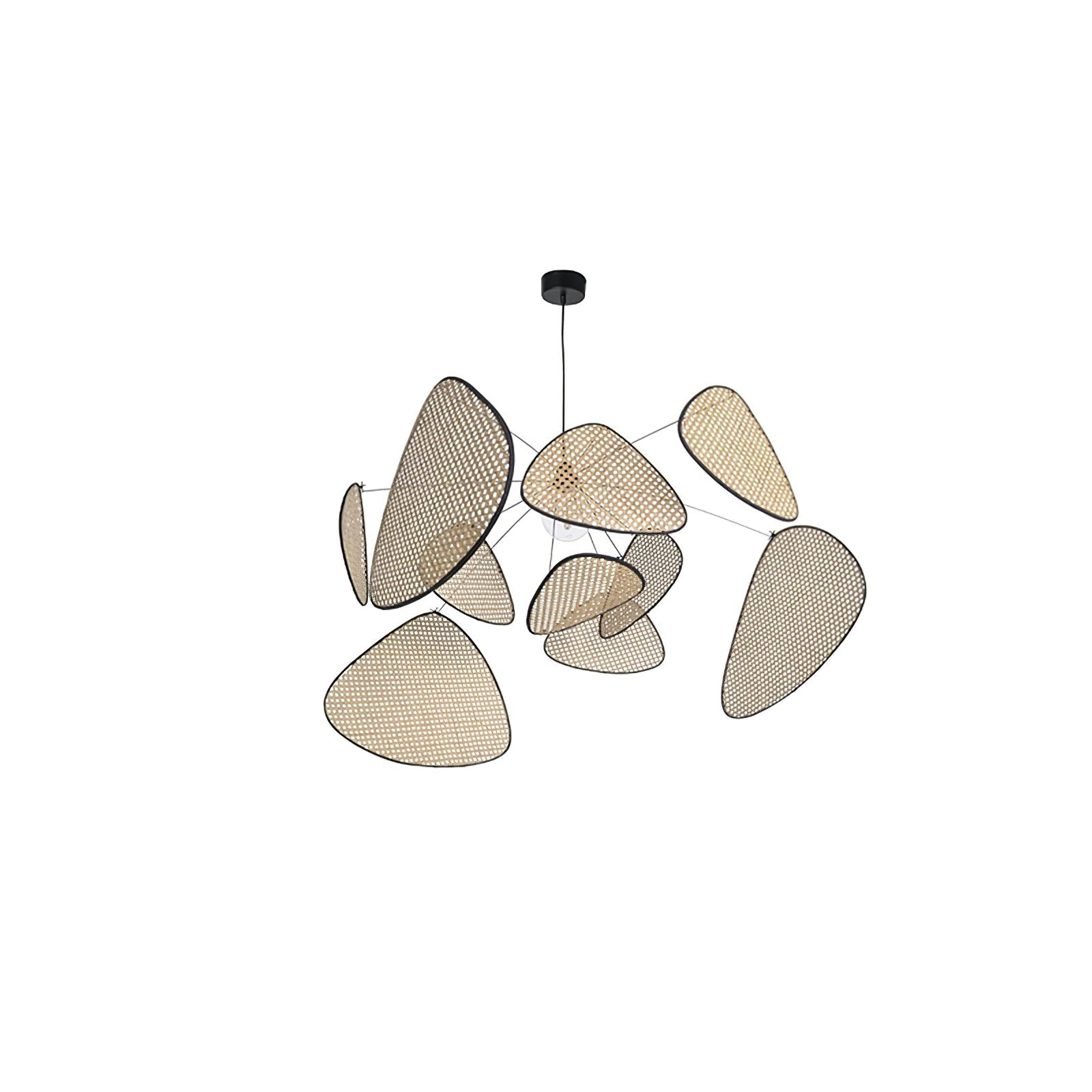 Screen Cannage Suspension - Blowlighting