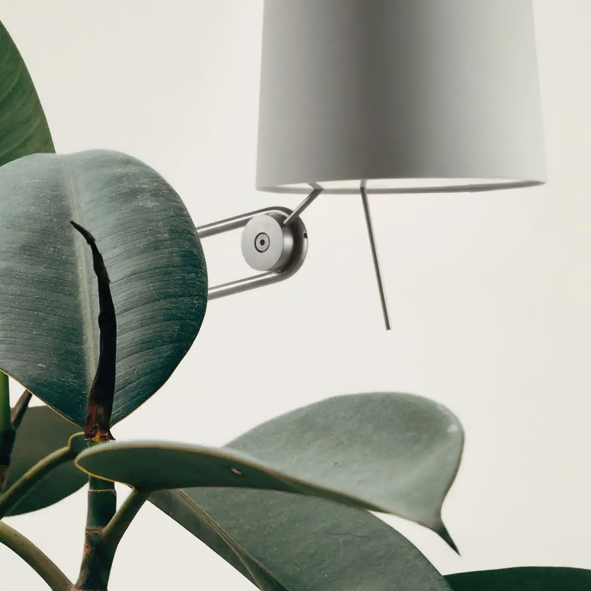 Sibaca Floor Lamp - Blowlighting