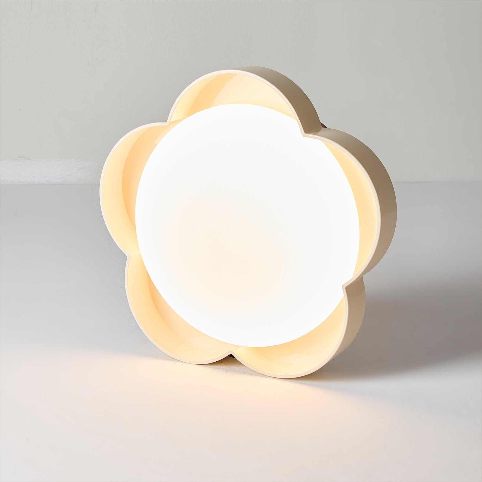 Sika Modern Acrylic Ceiling Light