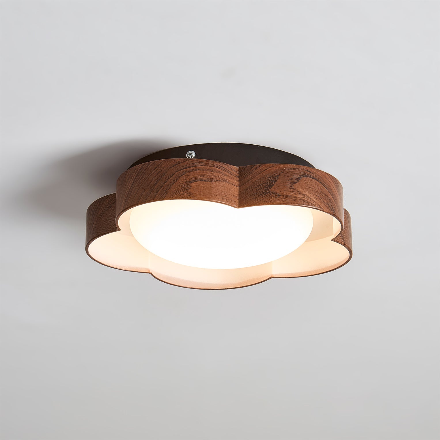 Sika Modern Acrylic Ceiling Light