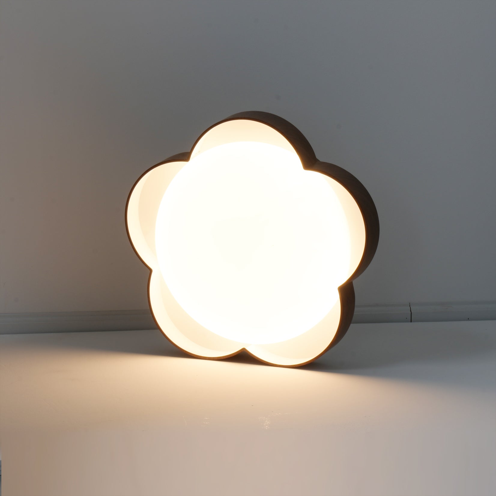 Sika Modern Acrylic Ceiling Light