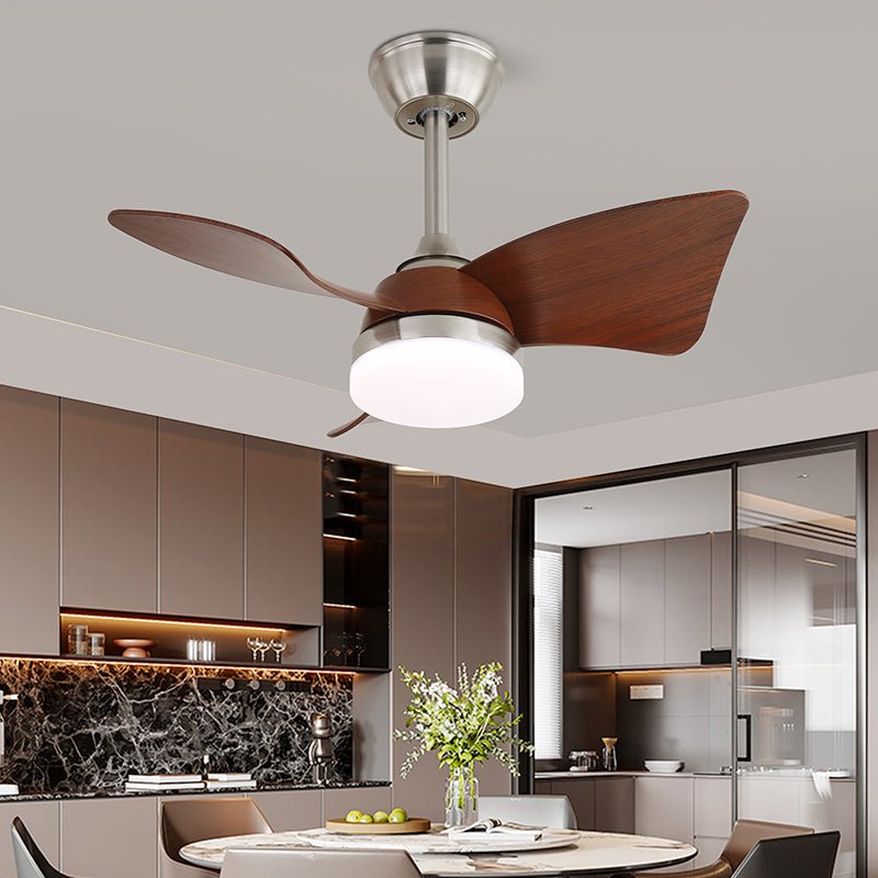 Arden Minimalist Black Wood Ceiling Fan Light - Blowlighting