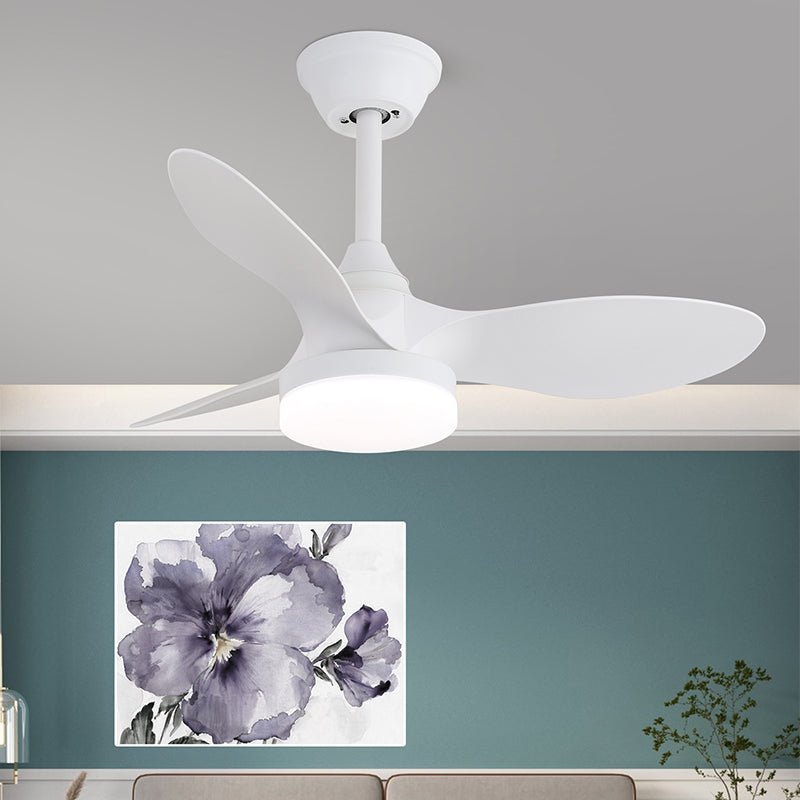 Arden Minimalist Black Wood Ceiling Fan Light - Blowlighting