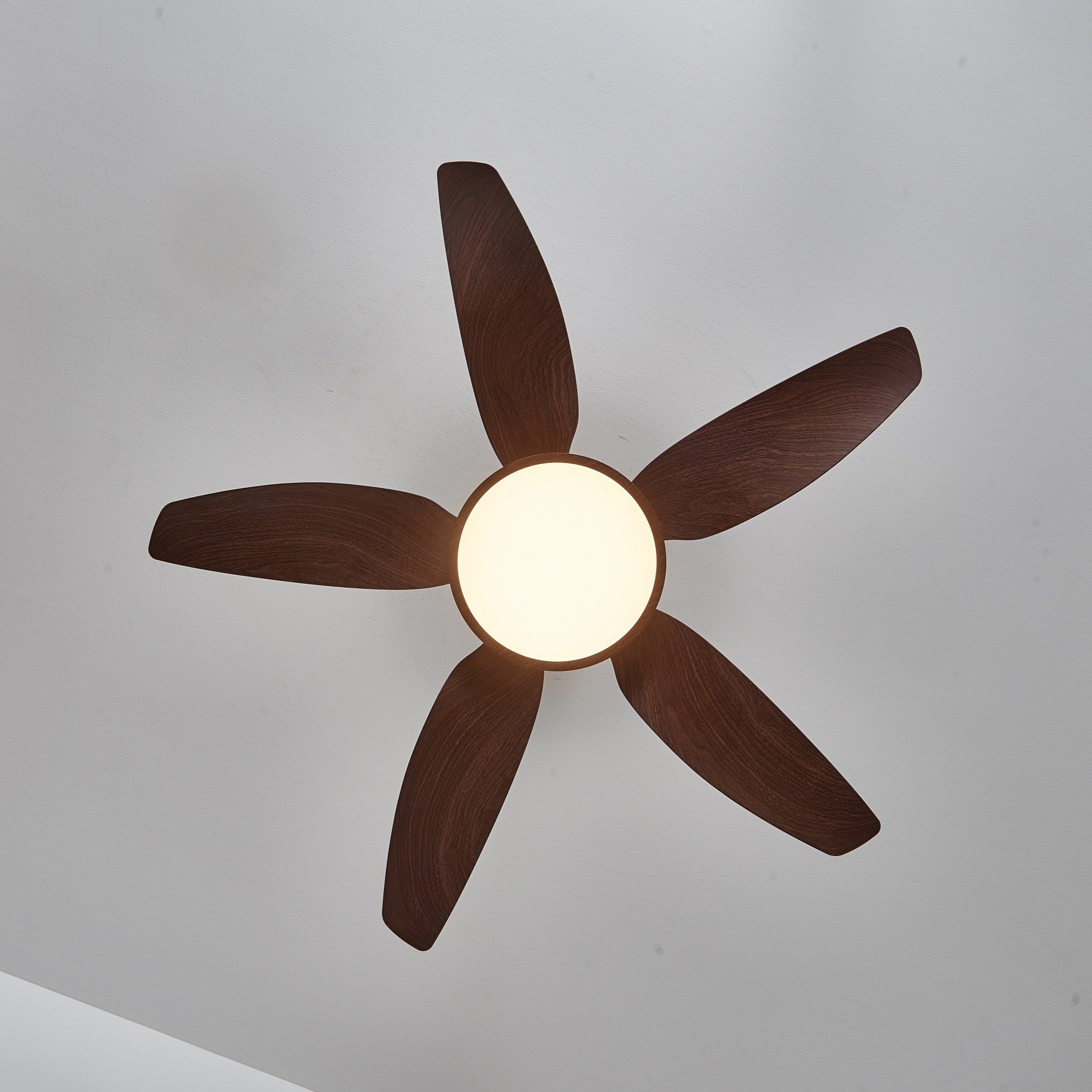Aurelia Modern Wood Brass Ceiling Fan Light - Blowlighting