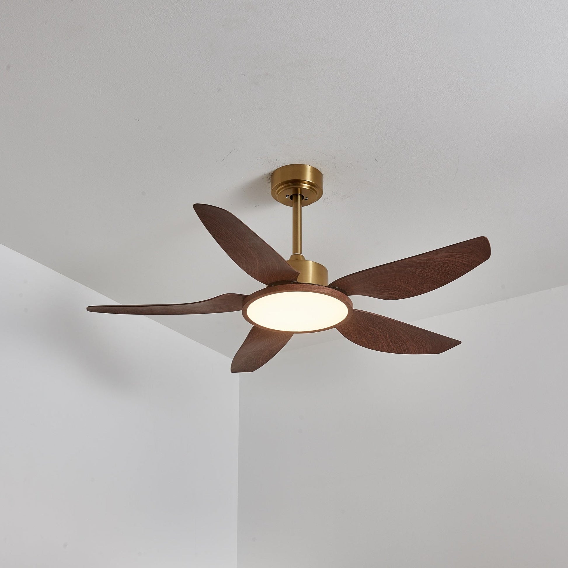 Aurelia Modern Wood Brass Ceiling Fan Light - Blowlighting