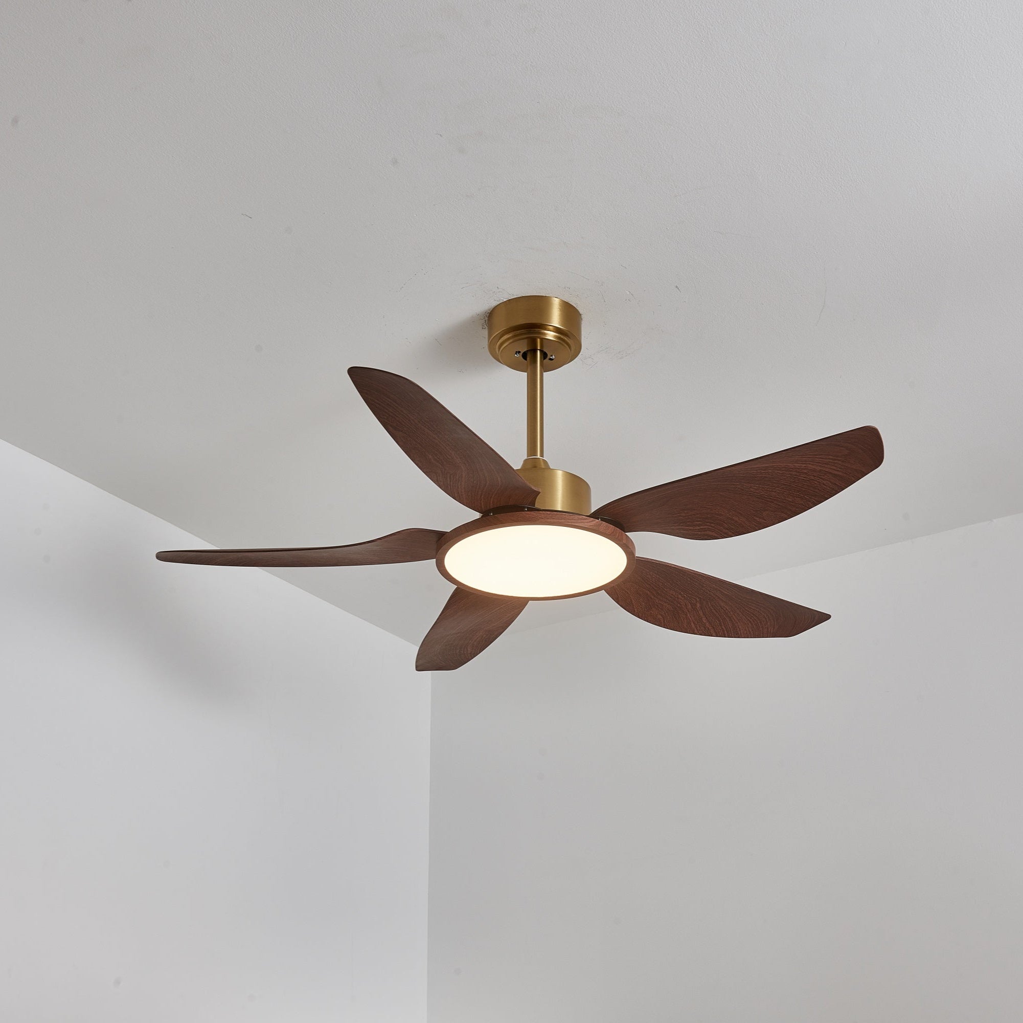 Aurelia Modern Wood Brass Ceiling Fan Light - Blowlighting