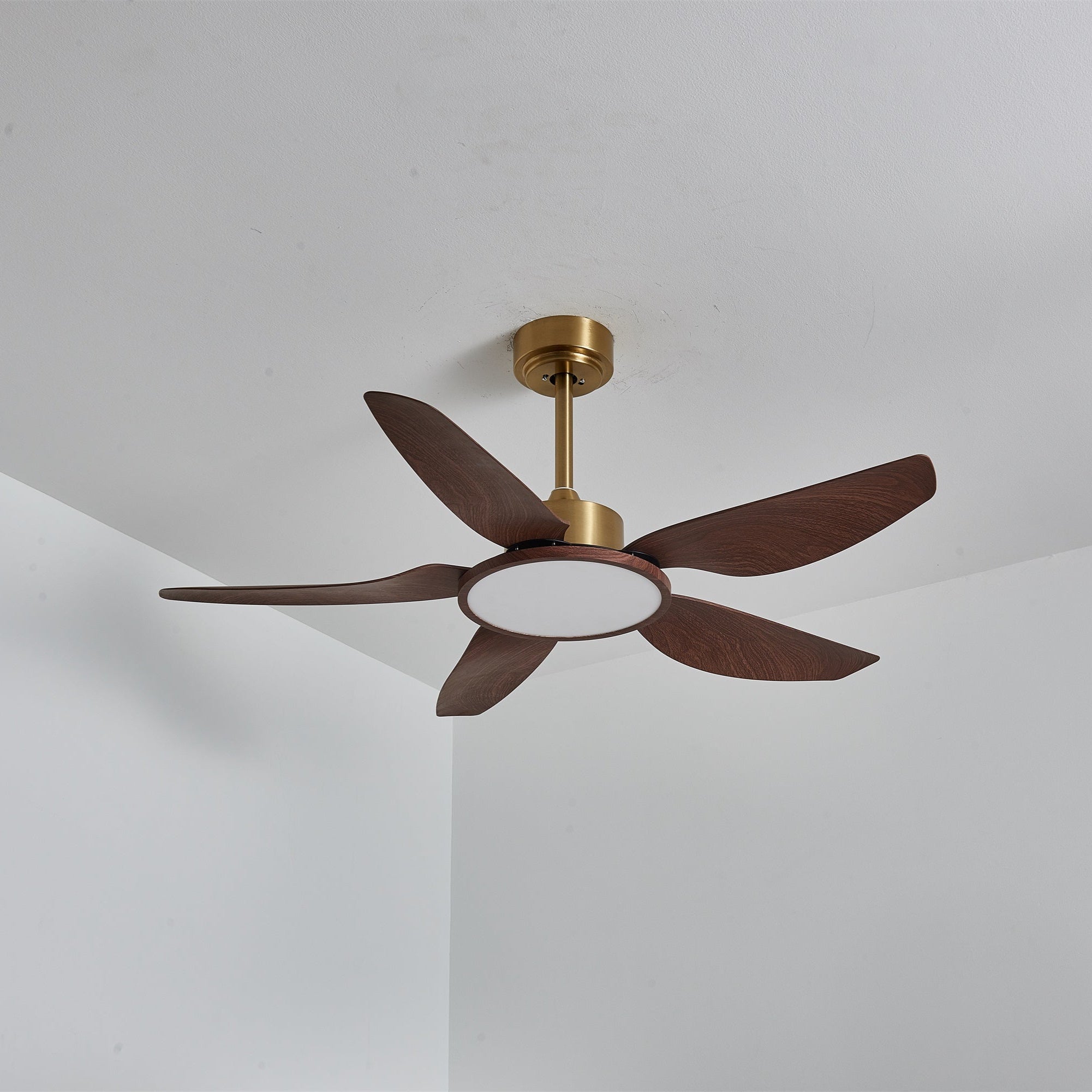 Aurelia Modern Wood Brass Ceiling Fan Light - Blowlighting