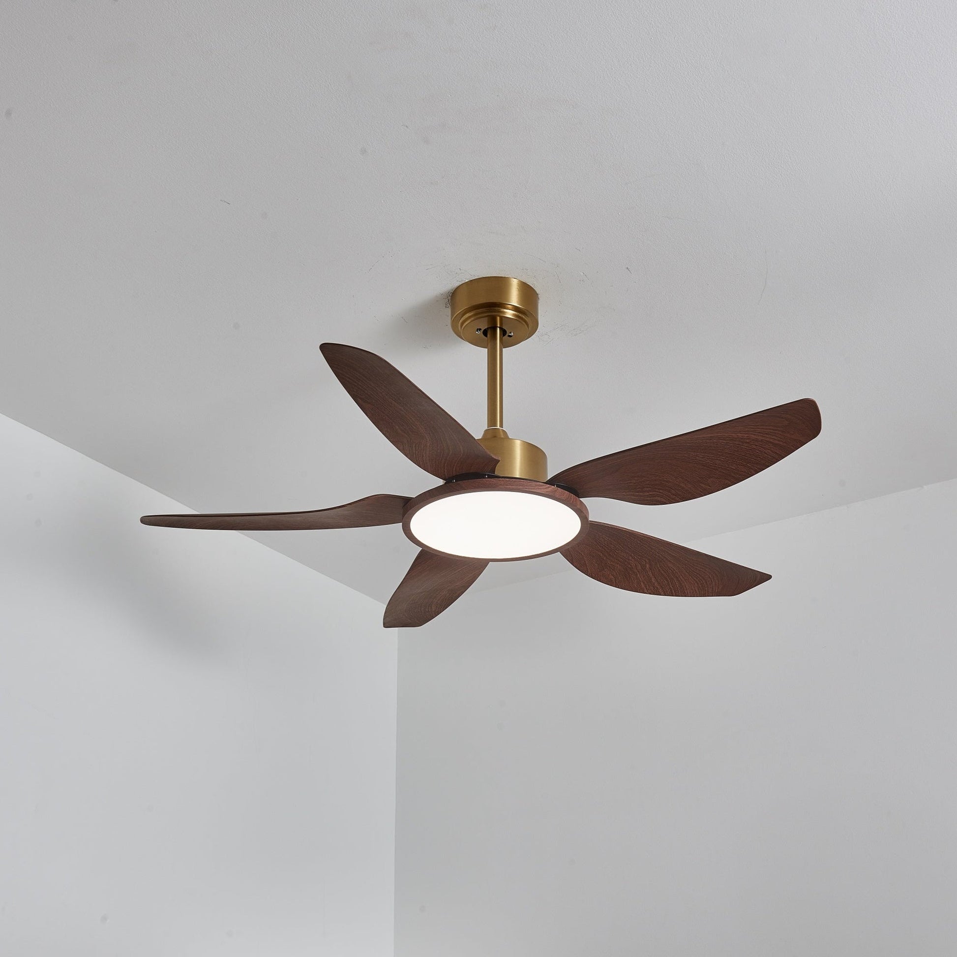 Aurelia Modern Wood Brass Ceiling Fan Light - Blowlighting