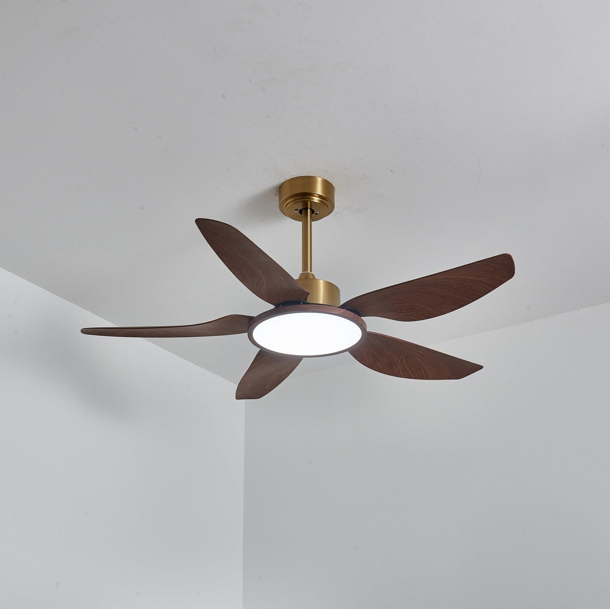 Aurelia Modern Wood Brass Ceiling Fan Light - Blowlighting
