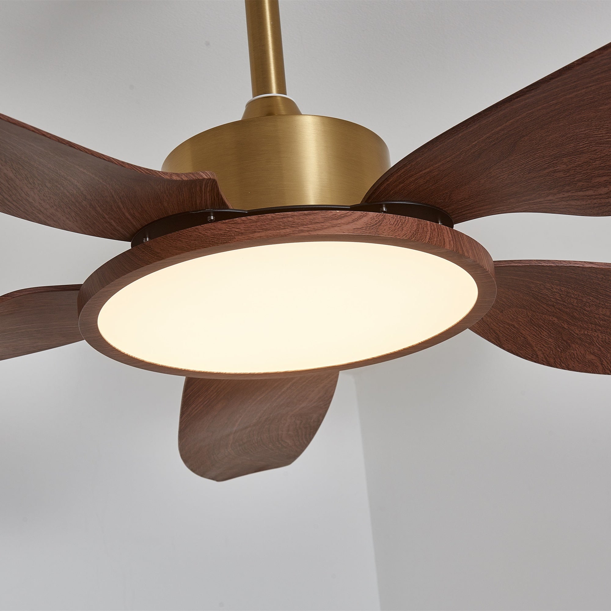 Aurelia Modern Wood Brass Ceiling Fan Light - Blowlighting