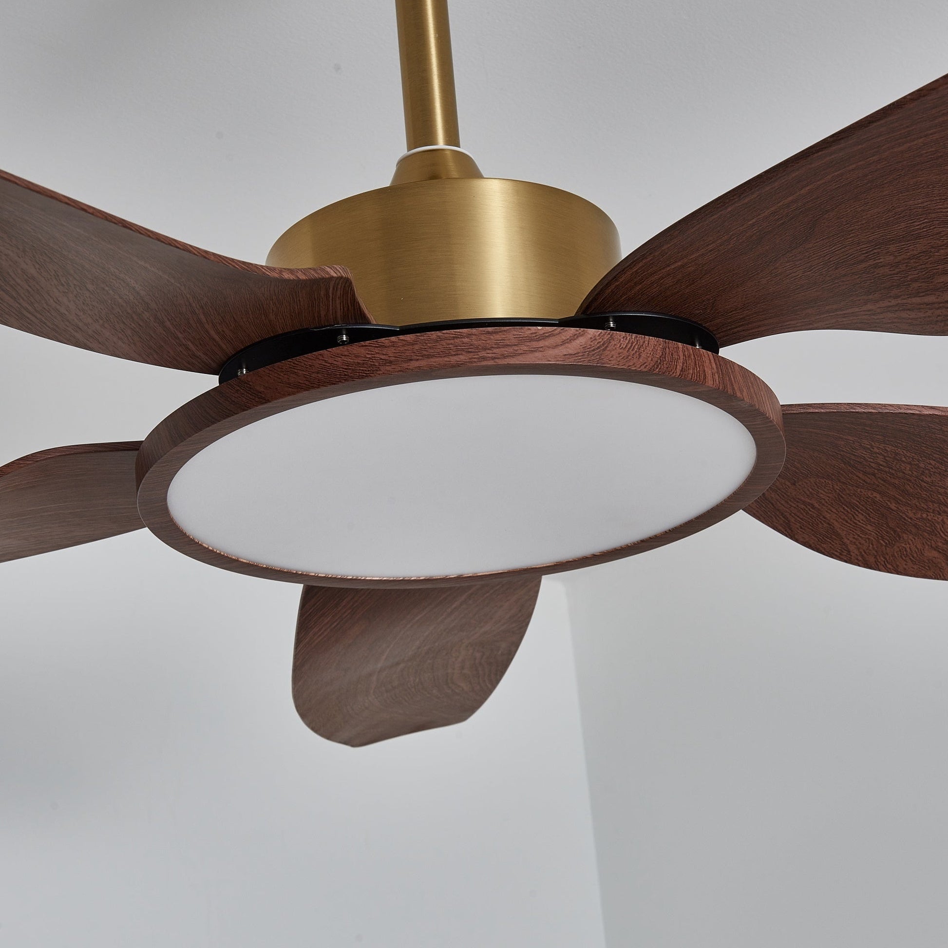 Aurelia Modern Wood Brass Ceiling Fan Light - Blowlighting