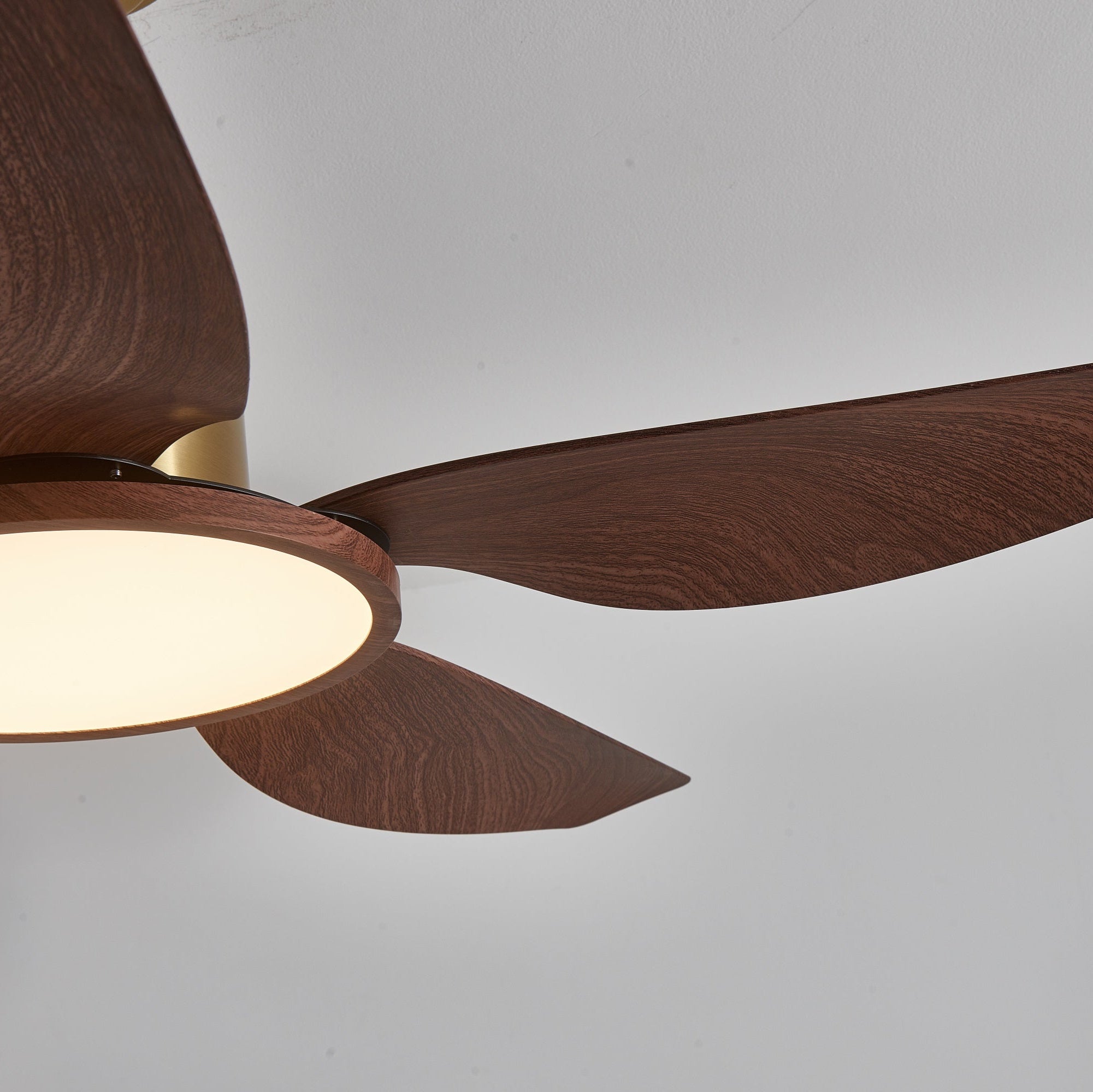 Aurelia Modern Wood Brass Ceiling Fan Light - Blowlighting