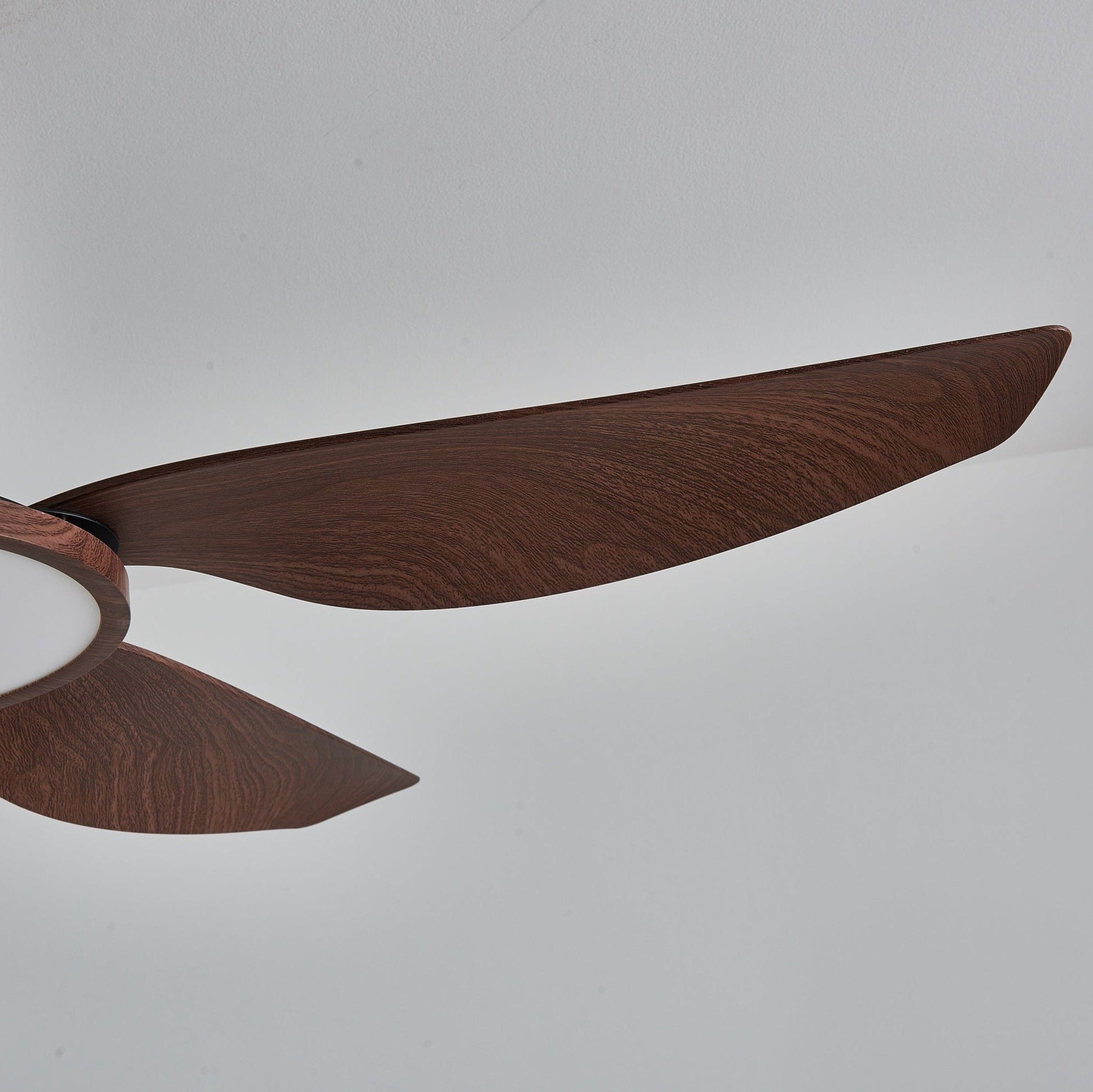 Aurelia Modern Wood Brass Ceiling Fan Light - Blowlighting