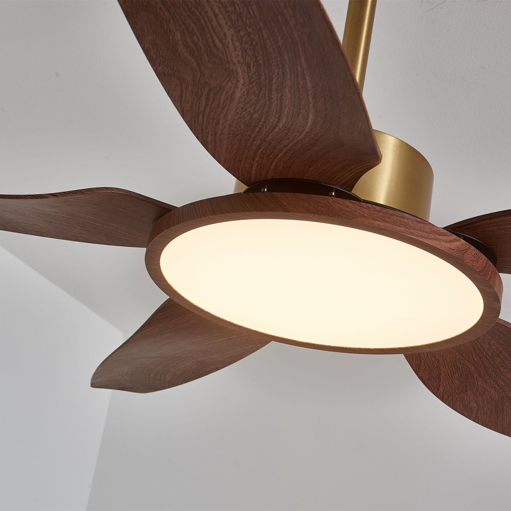 Aurelia Modern Wood Brass Ceiling Fan Light - Blowlighting