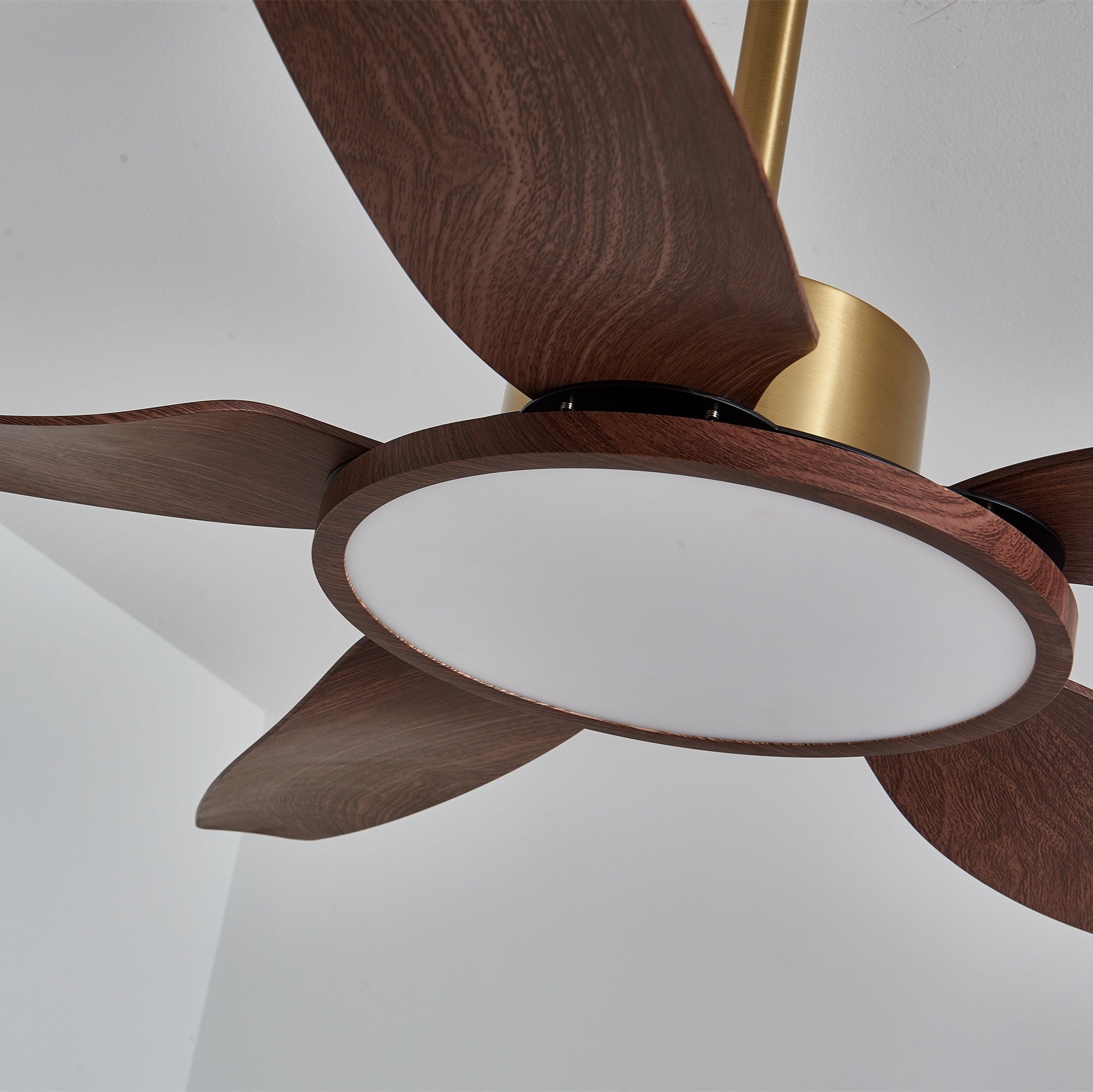Aurelia Modern Wood Brass Ceiling Fan Light - Blowlighting