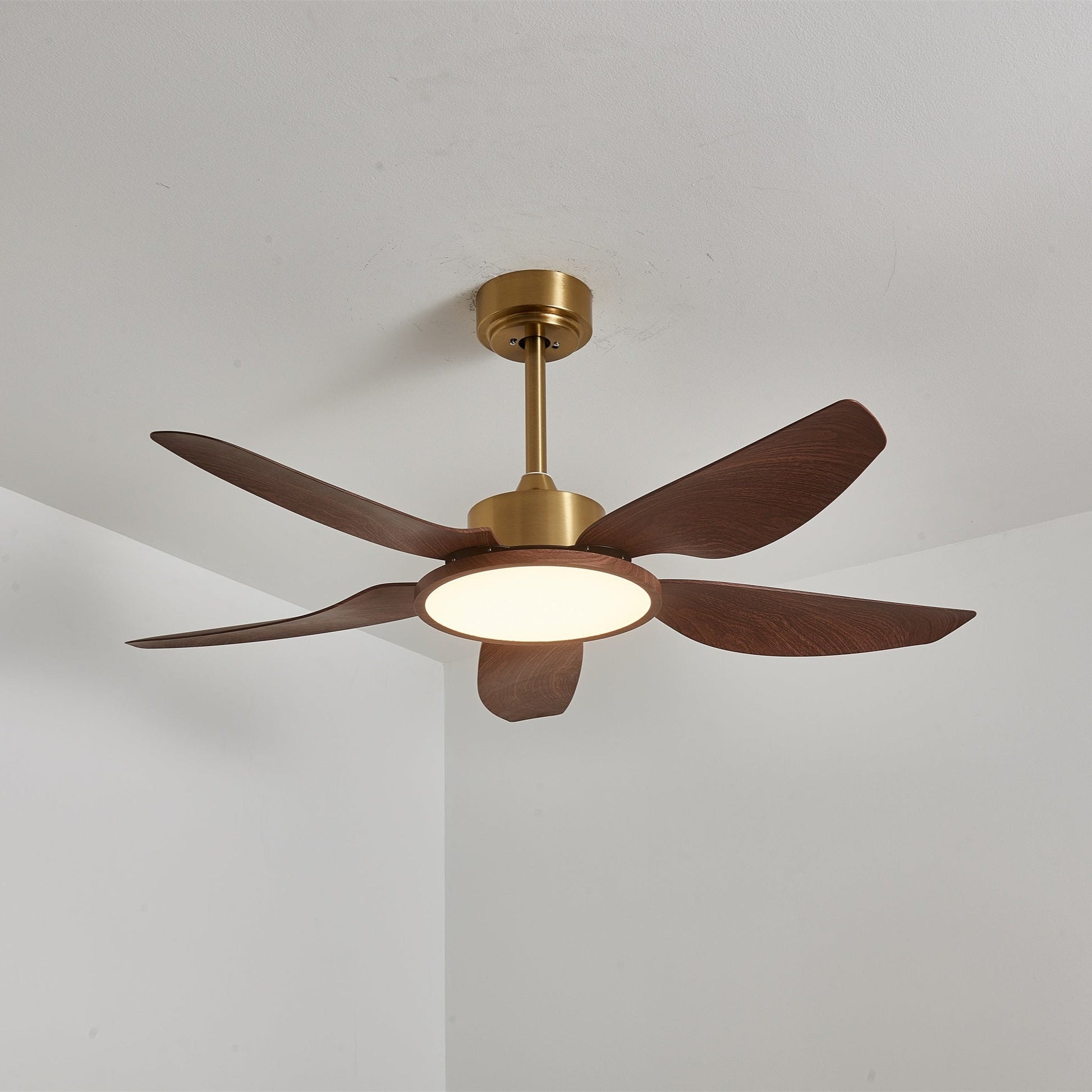 Aurelia Modern Wood Brass Ceiling Fan Light - Blowlighting