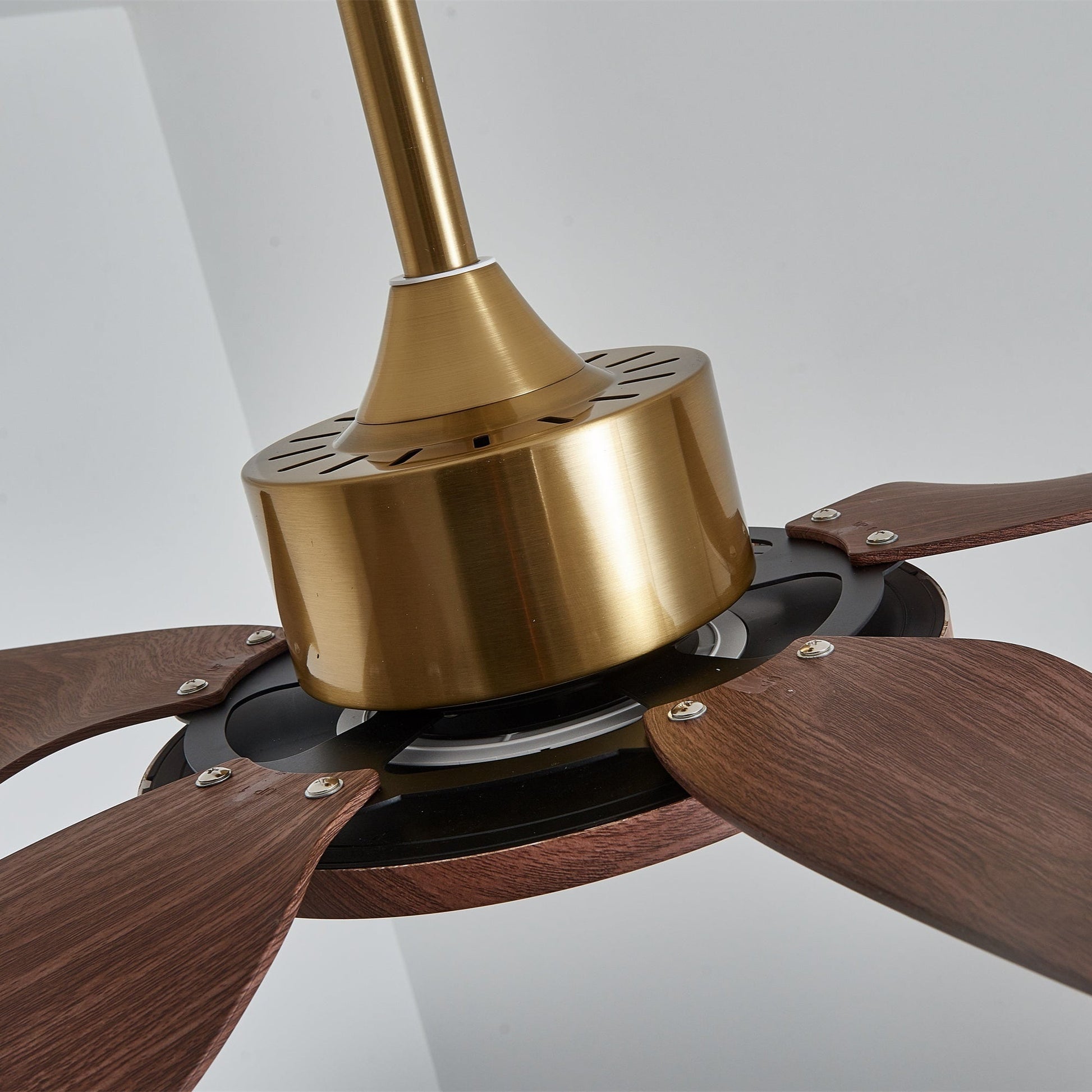 Aurelia Modern Wood Brass Ceiling Fan Light - Blowlighting