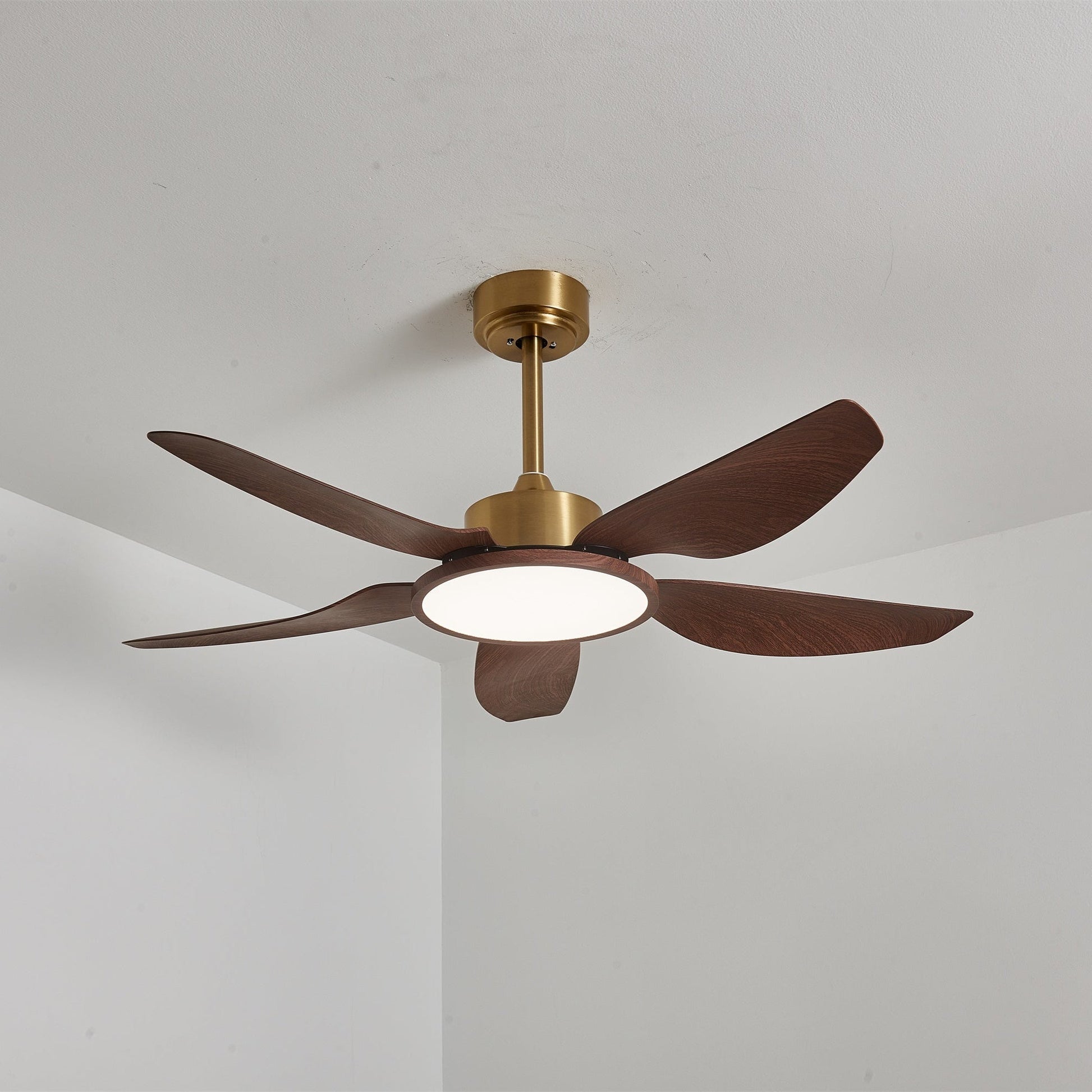 Aurelia Modern Wood Brass Ceiling Fan Light - Blowlighting