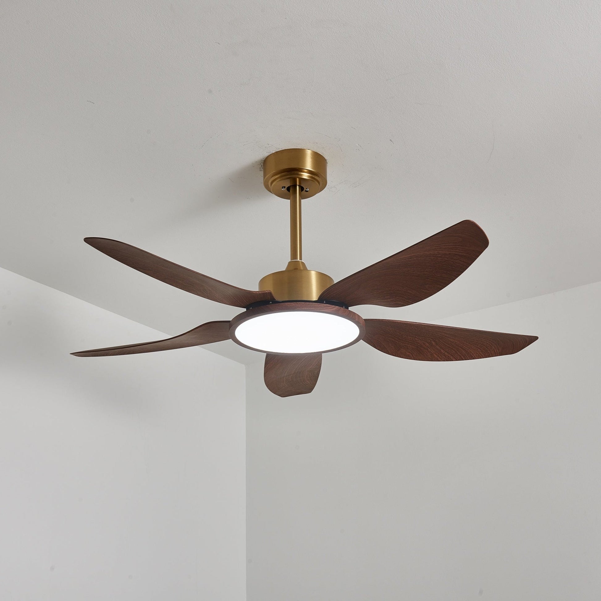 Aurelia Modern Wood Brass Ceiling Fan Light - Blowlighting