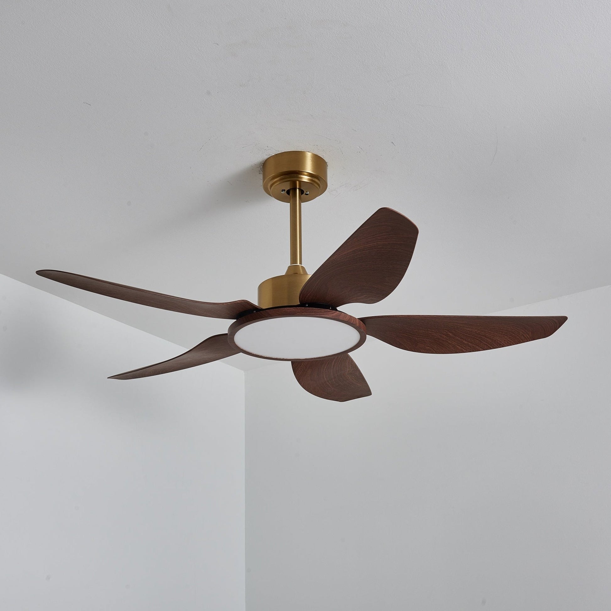 Aurelia Modern Wood Brass Ceiling Fan Light - Blowlighting