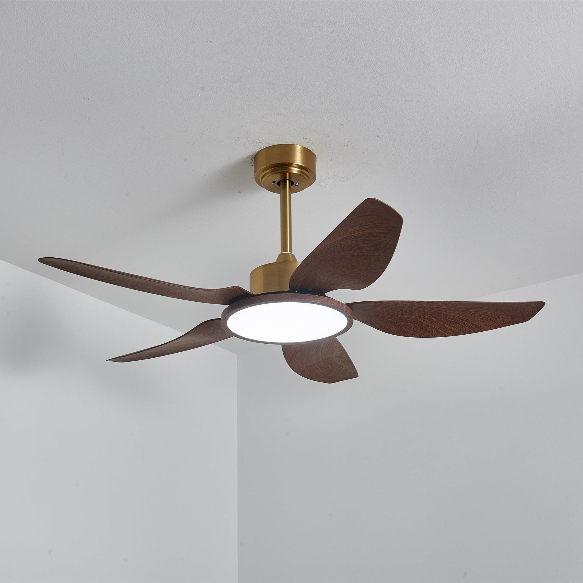Aurelia Modern Wood Brass Ceiling Fan Light - Blowlighting