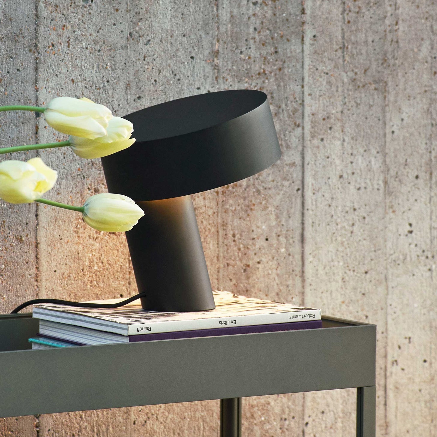 Celia Modern Metal Table Light