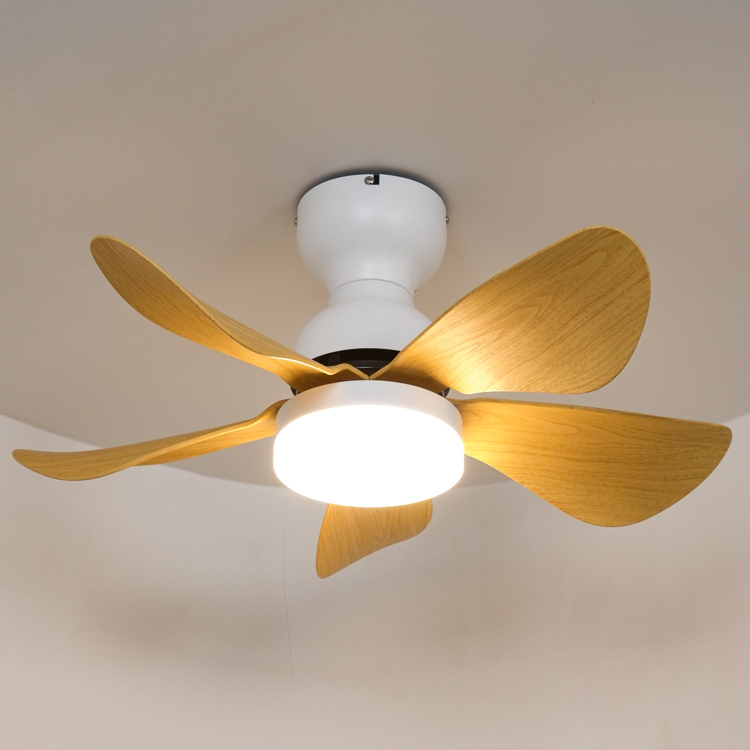 Callen Wood Ceiling Fan Light - Blowlighting