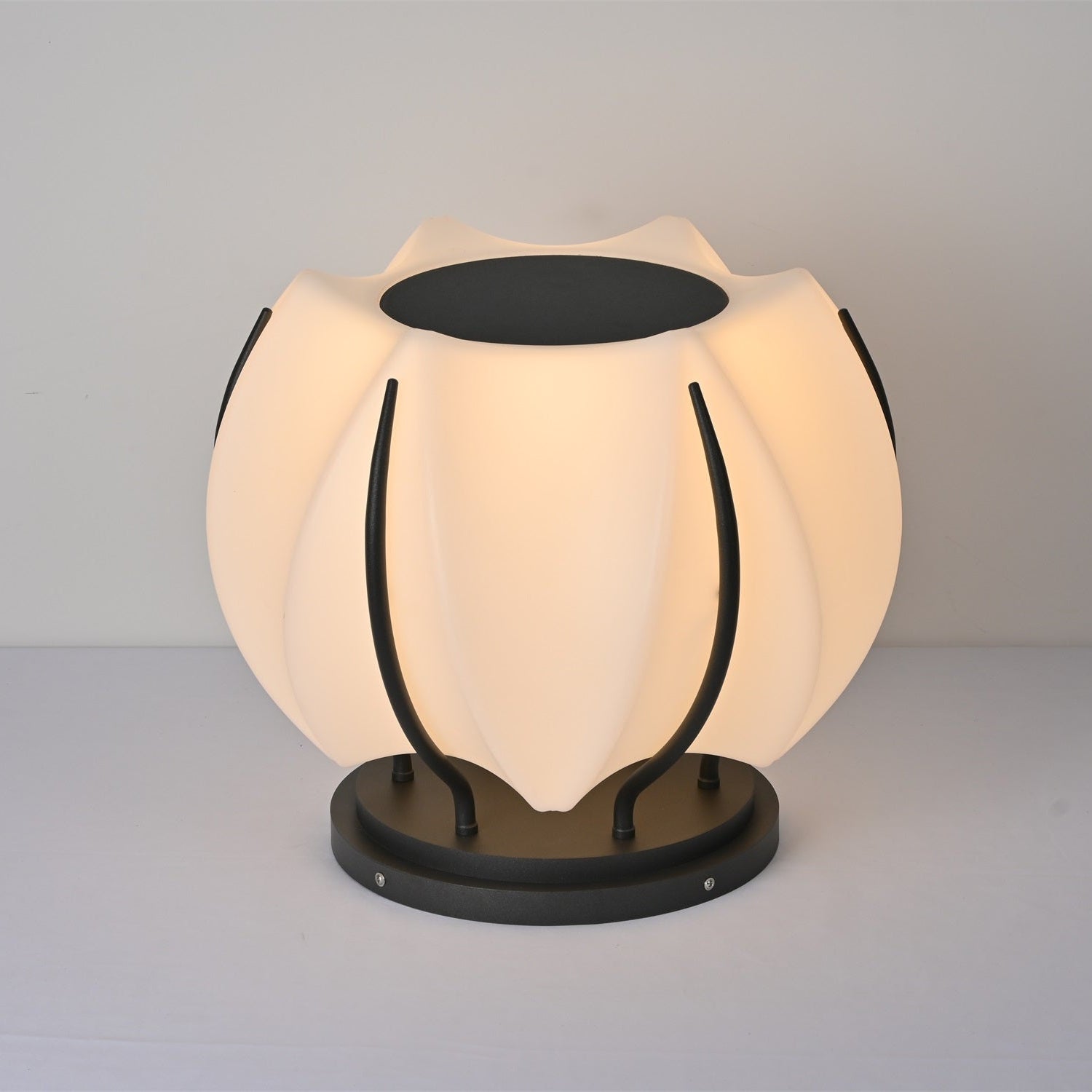 Solflora Bloom Solar Light - Blowlighting