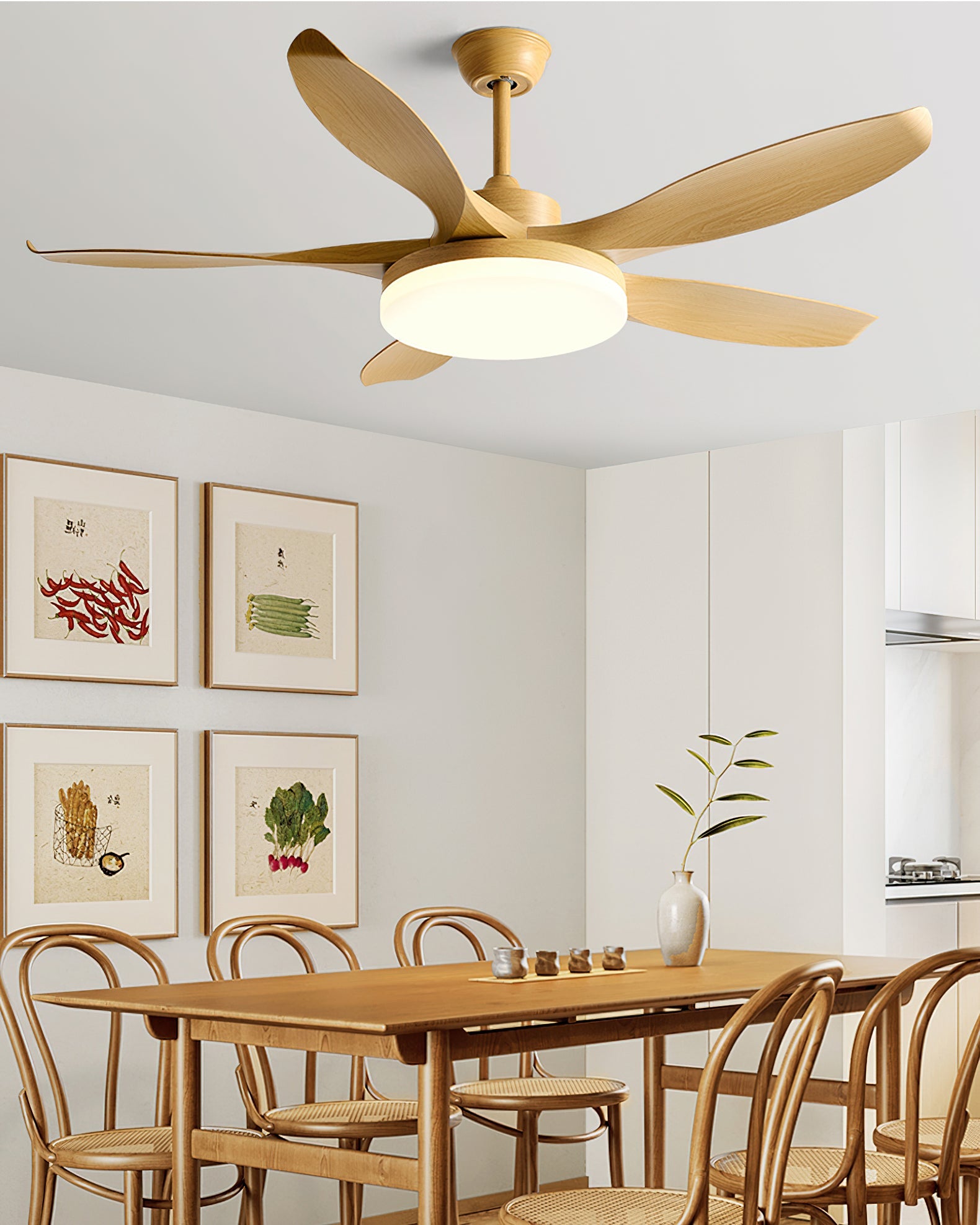 Splenda Modern ABS Ceiling Fan Light