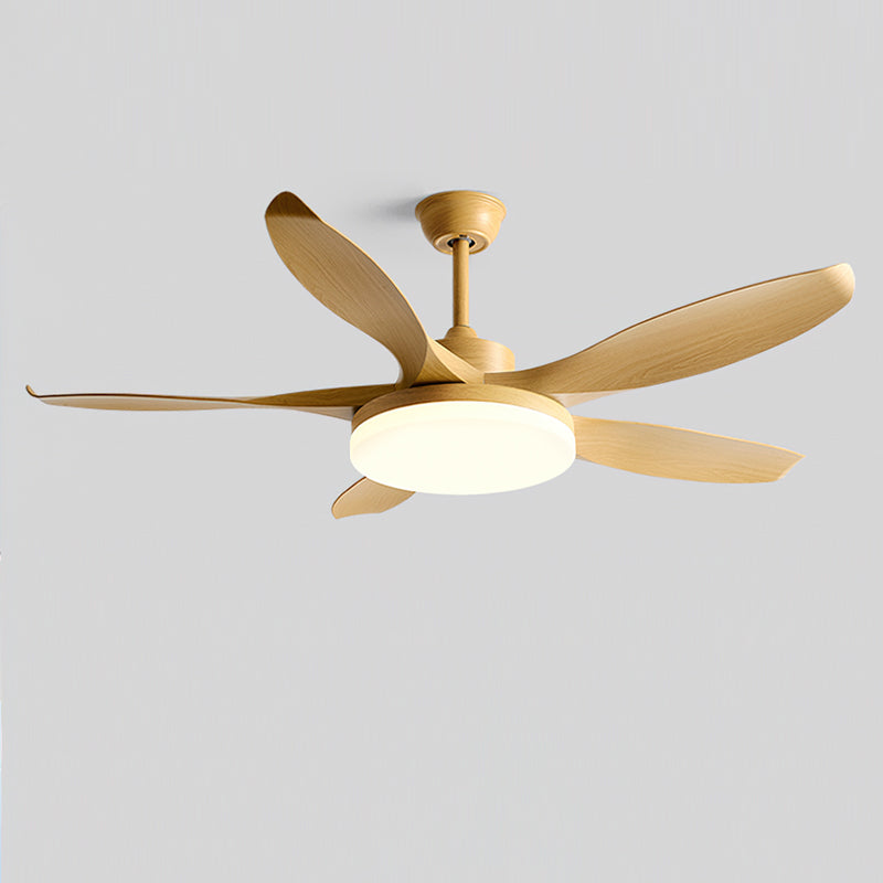 Splenda Modern ABS Ceiling Fan Light