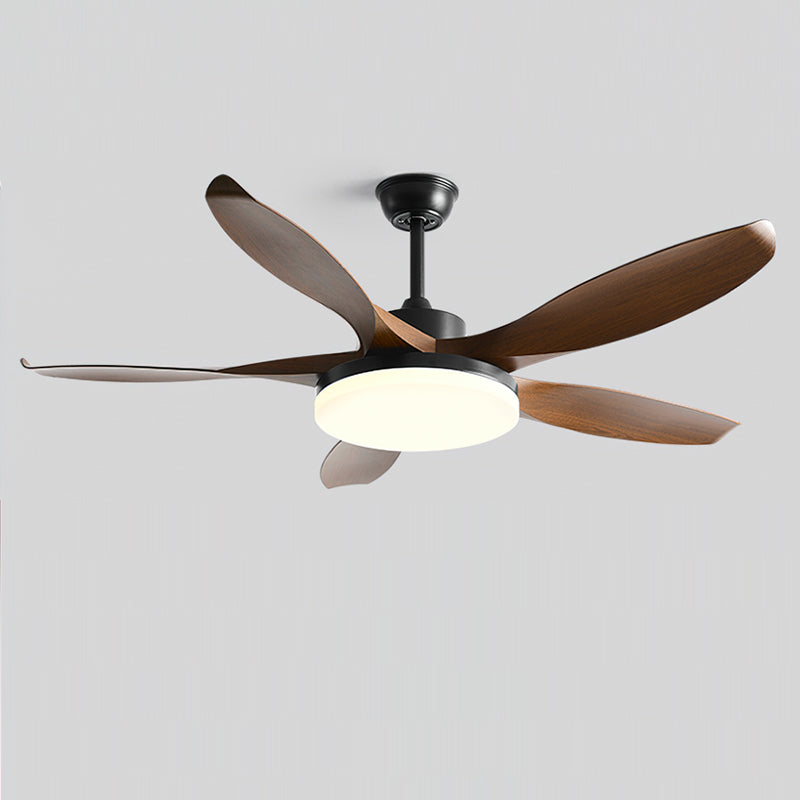 Splenda Modern ABS Ceiling Fan Light