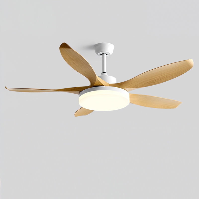 Splenda Modern ABS Ceiling Fan Light