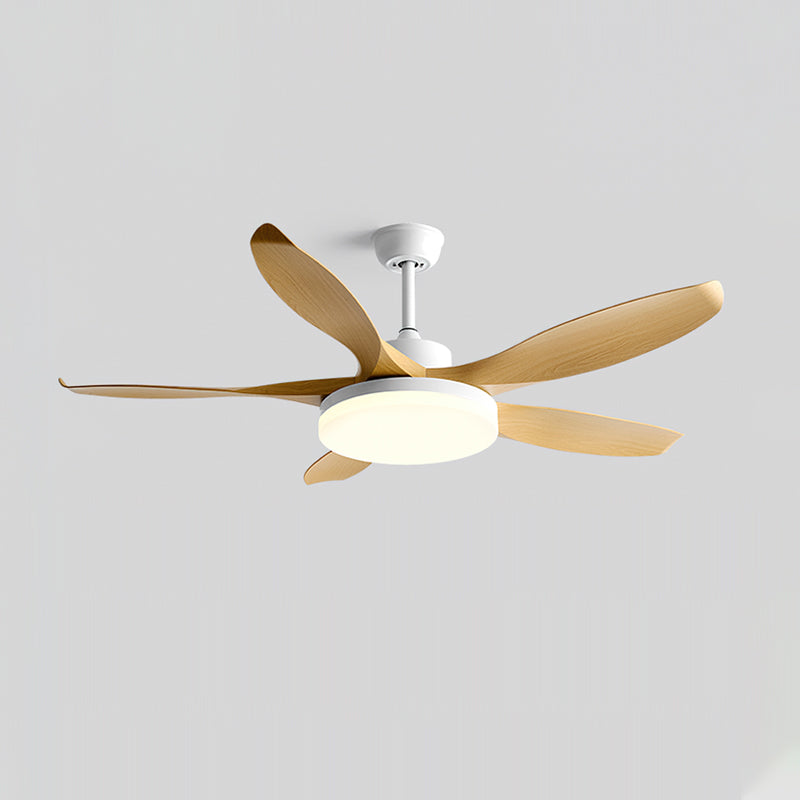 Splenda Modern ABS Ceiling Fan Light
