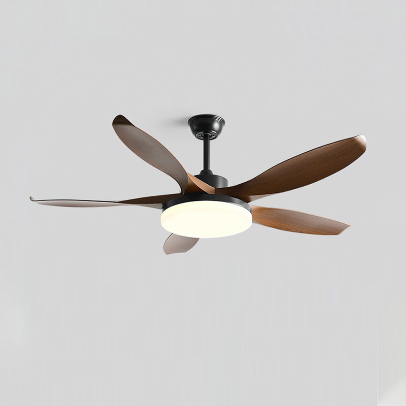 Splenda Modern ABS Ceiling Fan Light