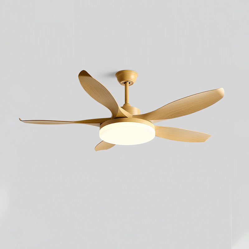 Splenda Modern ABS Ceiling Fan Light