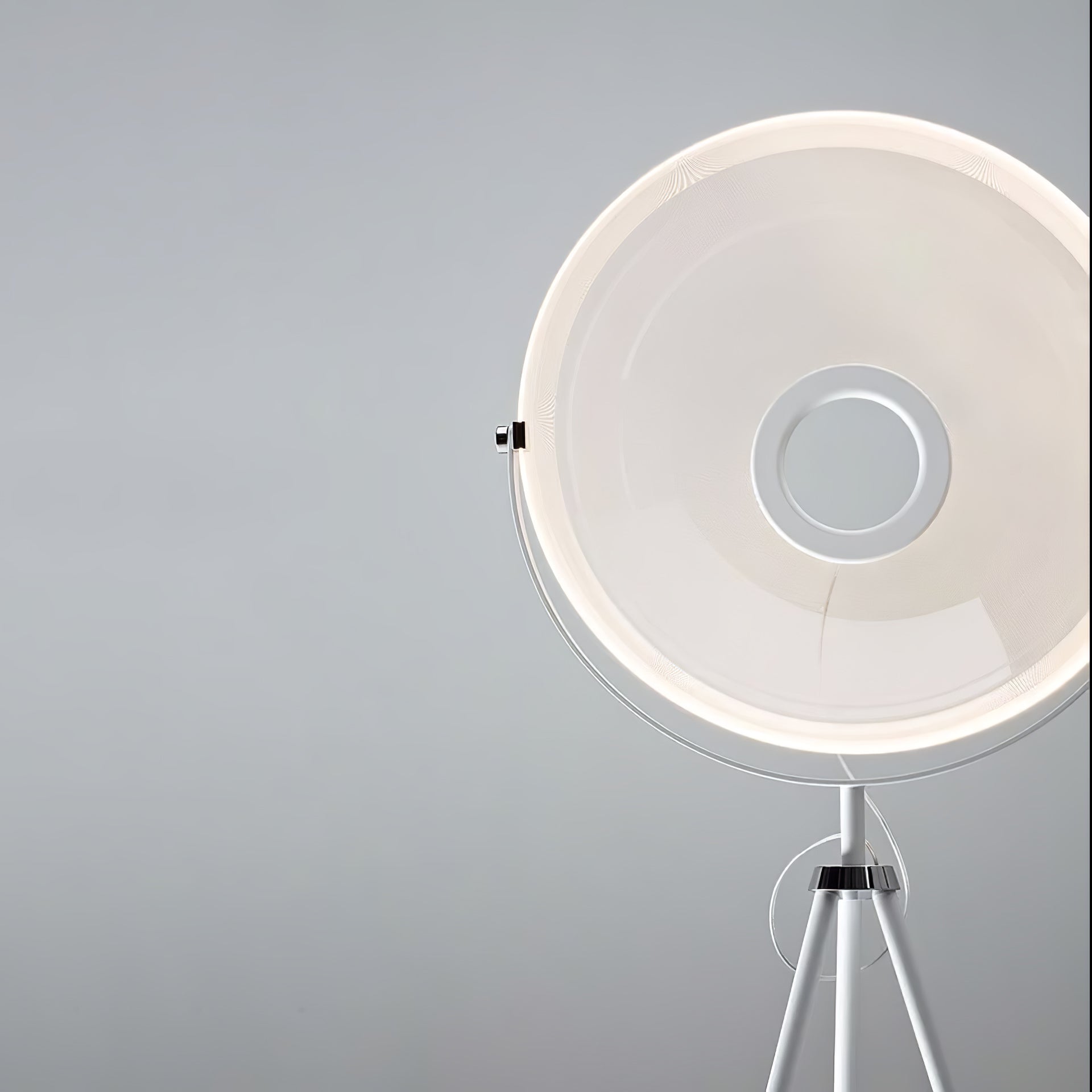Zasolyra Tripod Metal Floor Lamp - Blowlighting
