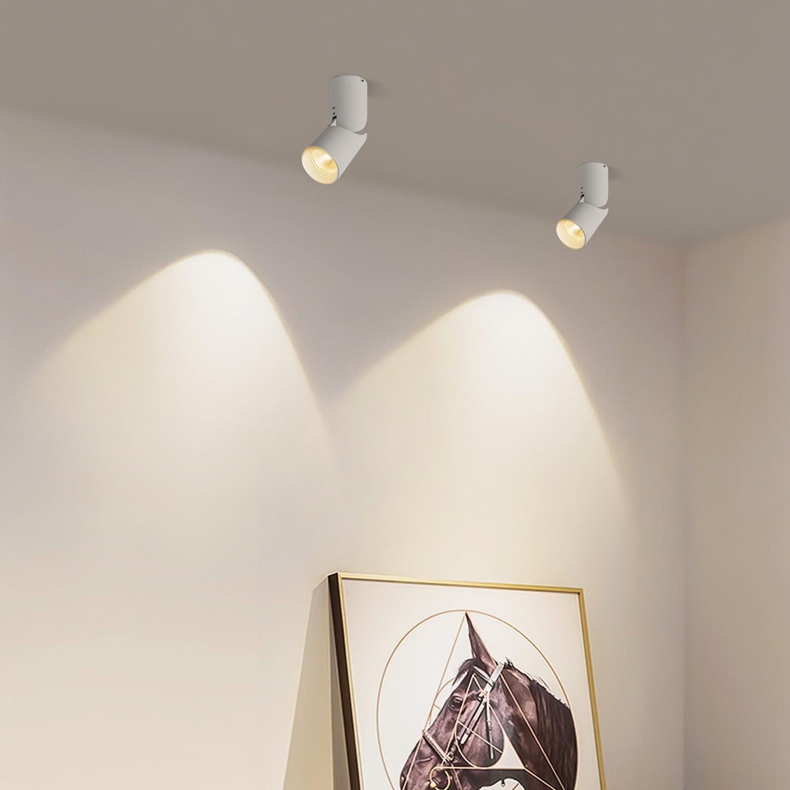 Sunny LED Spotlights - Blowlighting