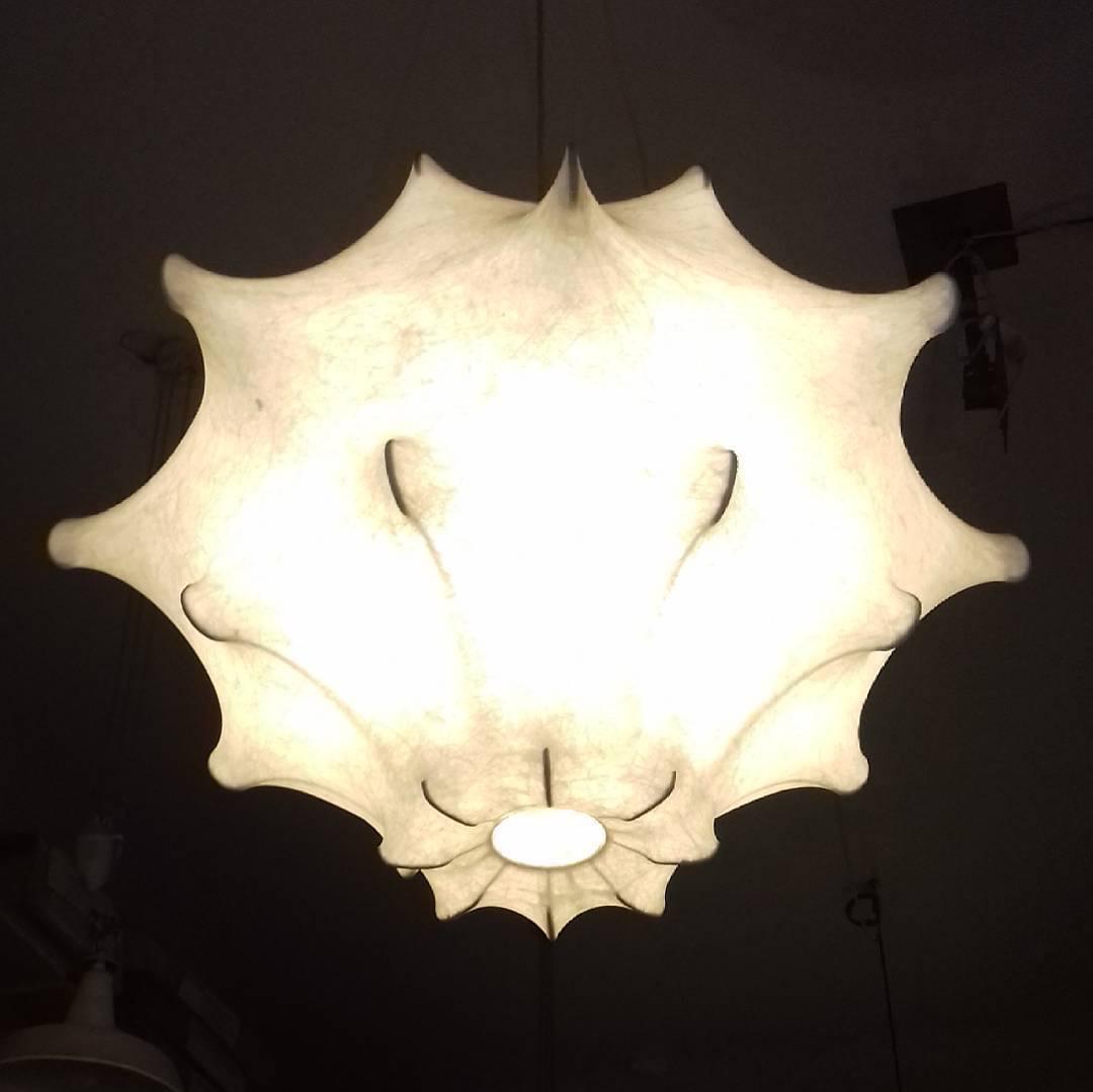 Cocoon Bloom Pendant Lamp - Blowlighting
