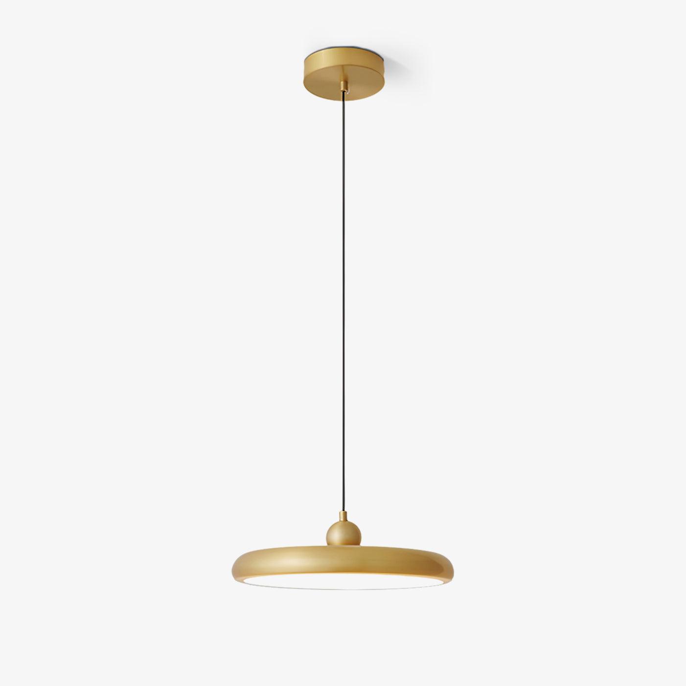 Thin Disc Pendant Lamp - Blowlighting