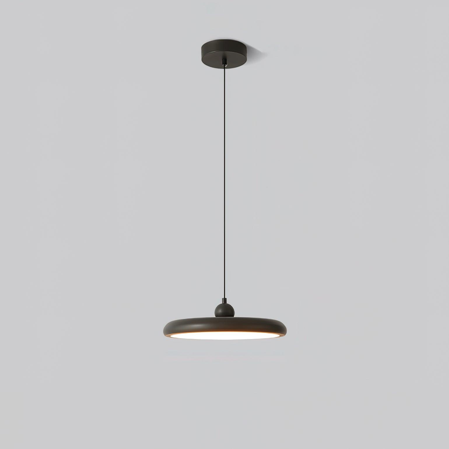 Thin Disc Pendant Lamp - Blowlighting