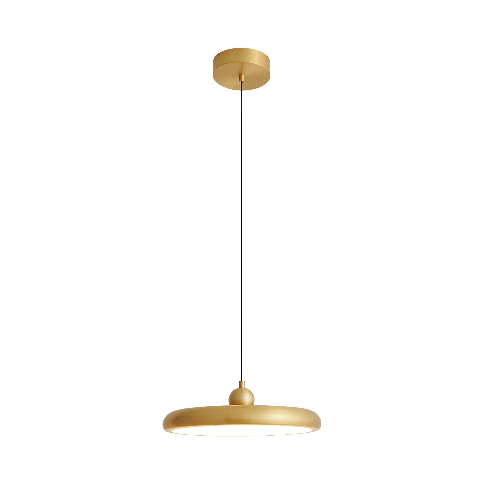Thin Disc Pendant Lamp - Blowlighting
