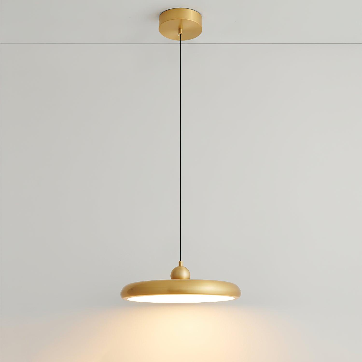 Thin Disc Pendant Lamp - Blowlighting